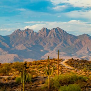 Desert landscape foreground with Four Peaks Mountain in the background with a beautiful blue sky.