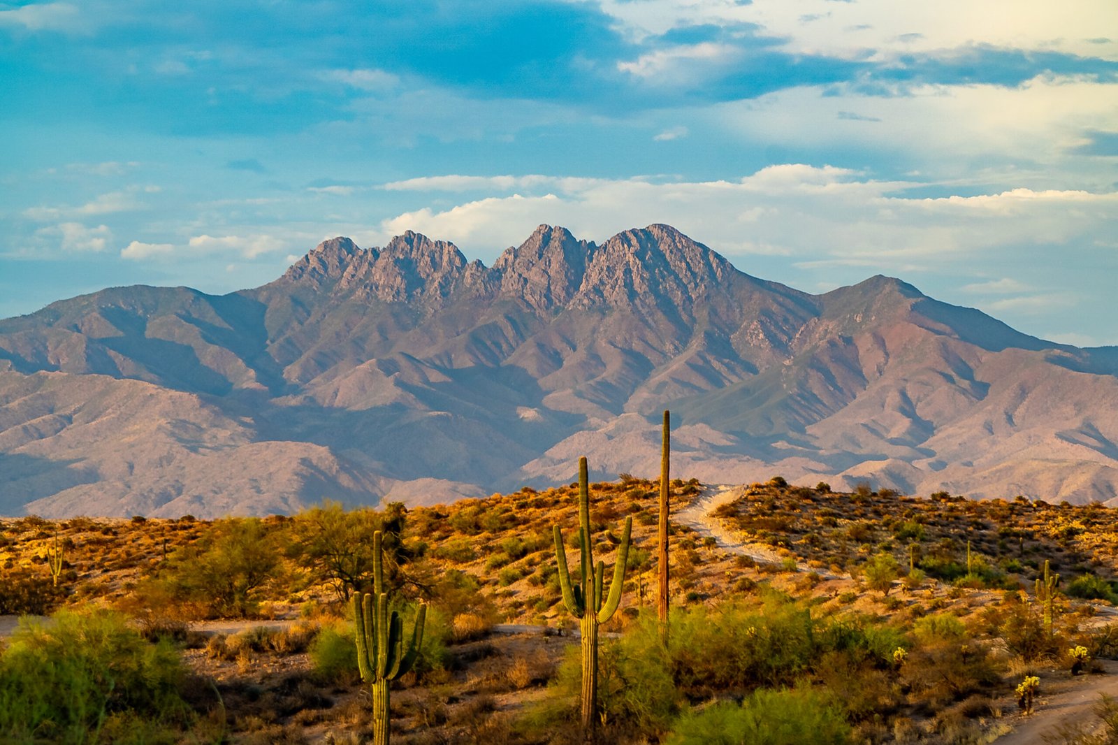 Desert landscape foreground with Four Peaks Mountain in the background with a beautiful blue sky.