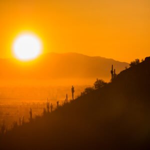 Sunset Desert Landscape. Silohuette of mountains and cactus against the orange sky as the sun sets.