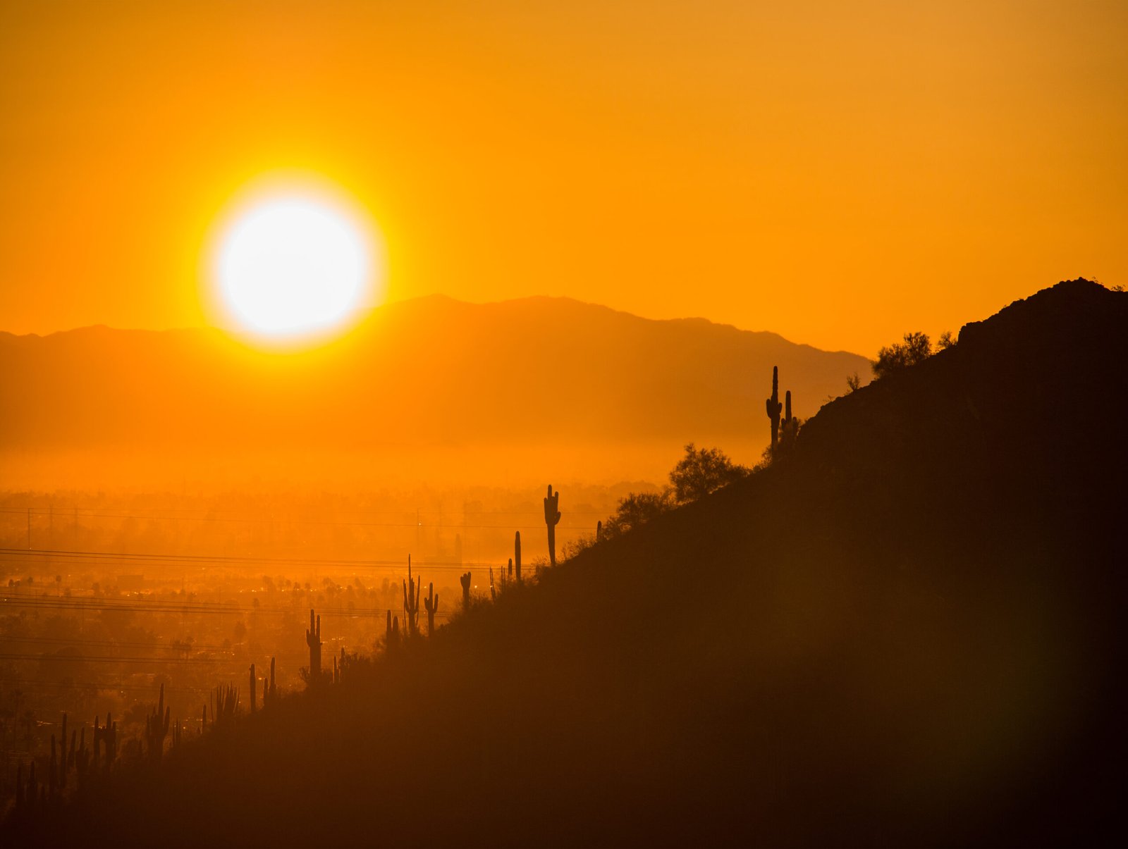 Sunset Desert Landscape. Silohuette of mountains and cactus against the orange sky as the sun sets.